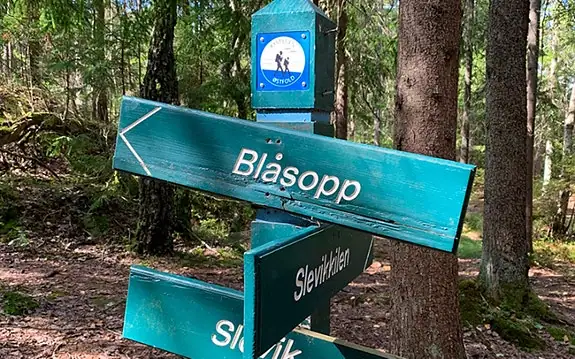 I ferien kan familien ta en tur til bl.a. utsiktspunktet Blåsopp