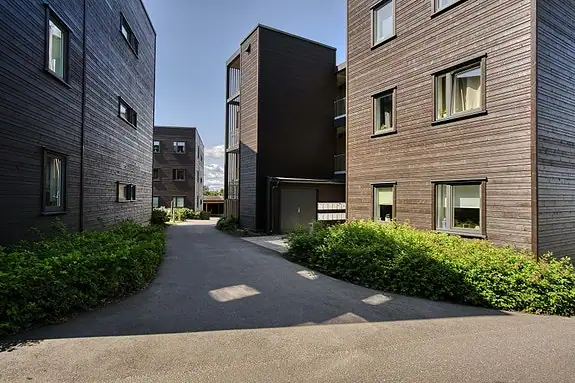 Borettslaget har asfalterte gangarealer
