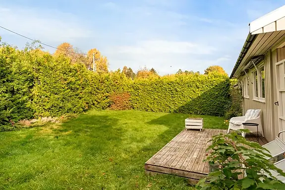 Fin hage med gressplen og busker