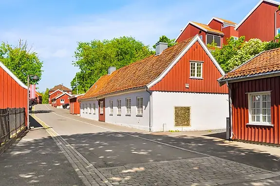 Her har mossinger gått i årrekker - ditt nye nabolag?
