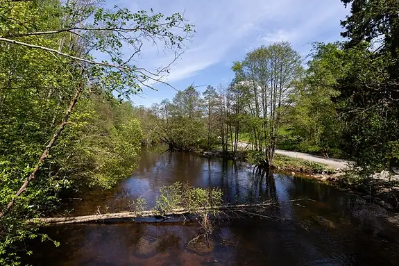 Akerselva (2,1 km fra boligen) - elv med tursti, frodig natur og rolige omgivelser langs bredden