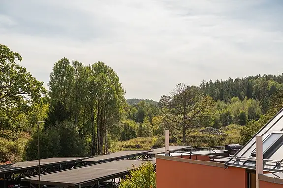 Det er noe eget med utsikt over uberørt natur